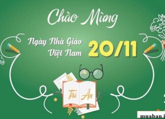 20/11 Là Ngày Gì? Lịch Sử Và Ý Nghĩa Của Ngày Nhà Giáo Việt Nam