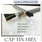 Cáp điều khiển không lưới Altek Kabel CT 30×1.0mm