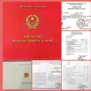 KHÓA HỌC CHỨNG CHỈ NGHIỆP VỤ SƯ PHẠM