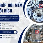 Khớp nối mềm inox, khớp nối chống rung máy bơm, khớp nối kim loại nối ren