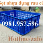 Sọt nhựa đựng rau củ, sọt nhựa đựng hàng trong siêu thị