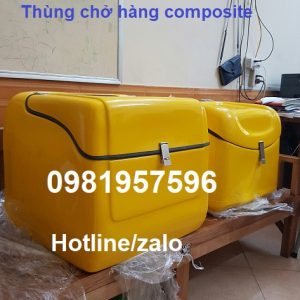 Thùng chở sau xe máy, Thùng chở hàng composite giá rẻ tại Hà Nộ