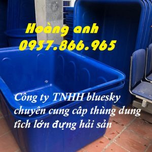 Thùng đựng hải sản, thùng 1 khối