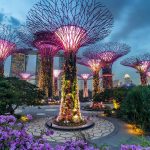 Tour Singapore – thác nước Jewel – Gardens by the bay – Chùa Răng Phật