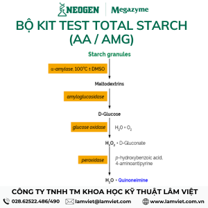 Bộ kit test Total Starch (AA / AMG)