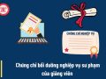 Nghiệp vụ Sư phạm Dành cho Giảng viên Đại học Cao đẳng