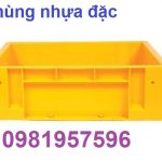 Thùng nhựa đặc có lỗ, thùng nhựa đặc BL001, thùng nhựa đặc