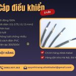 Cáp điều khiển 2 lõi, cáp truyền tín hiệu 2 lõi Altek Kabel