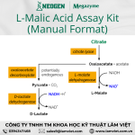 Bộ Xét nghiệm Acid L-Malic (Regular)