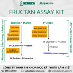 Bộ Xét nghiệm Fructan Assay Kit K-FRUC