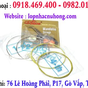 Thay dây đàn mandolin tại gò vấp