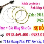 Thay dây đàn mandolin tại gò vấp