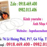 Thay dây đàn mandolin tại gò vấp