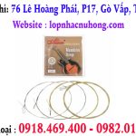 Thay dây đàn mandolin tại gò vấp