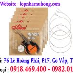 Thay dây đàn mandolin tại gò vấp