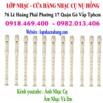 Địa điểm bán sáo recorder Yamaha chính hãng