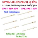 Địa điểm bán sáo recorder Yamaha chính hãng