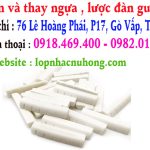 Thay ngựa, lược đàn guitar lấy ngay tại gò vấp