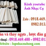 Thay ngựa, lược đàn guitar lấy ngay tại gò vấp